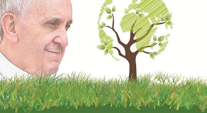 Ecojesuit: Colaboración y acción global jesuita sobre medio ambiente entendida como una relación