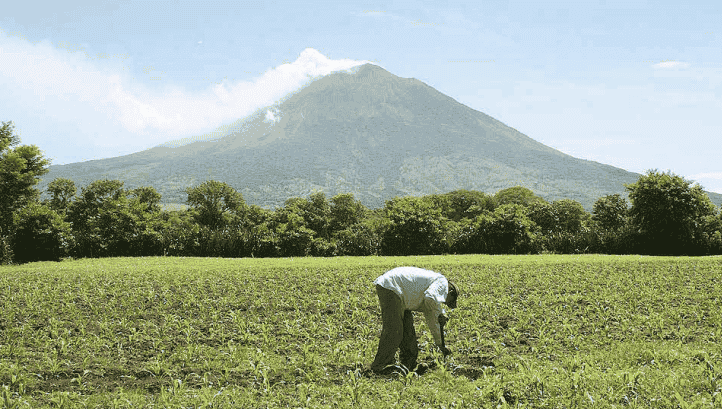 Informe de coyuntura: Red de Desigualdad y Pobreza AUSJAL