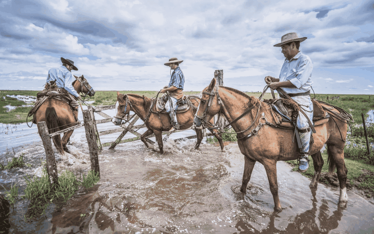 Camino de la Fe: Paraquaria - La Provincia Jesuítica del Paraguay 