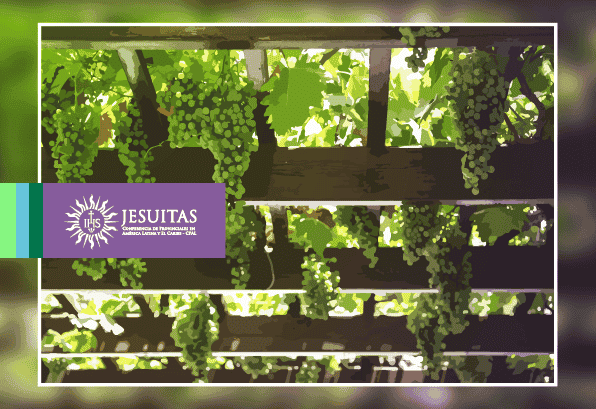 “Yo soy la vid y ustedes son las ramas” (Juan 15, 1-8)