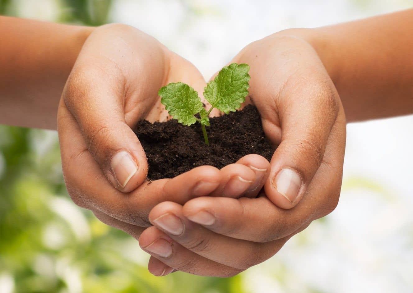 Centro Virtual de Pedagogía Ignaciana: 