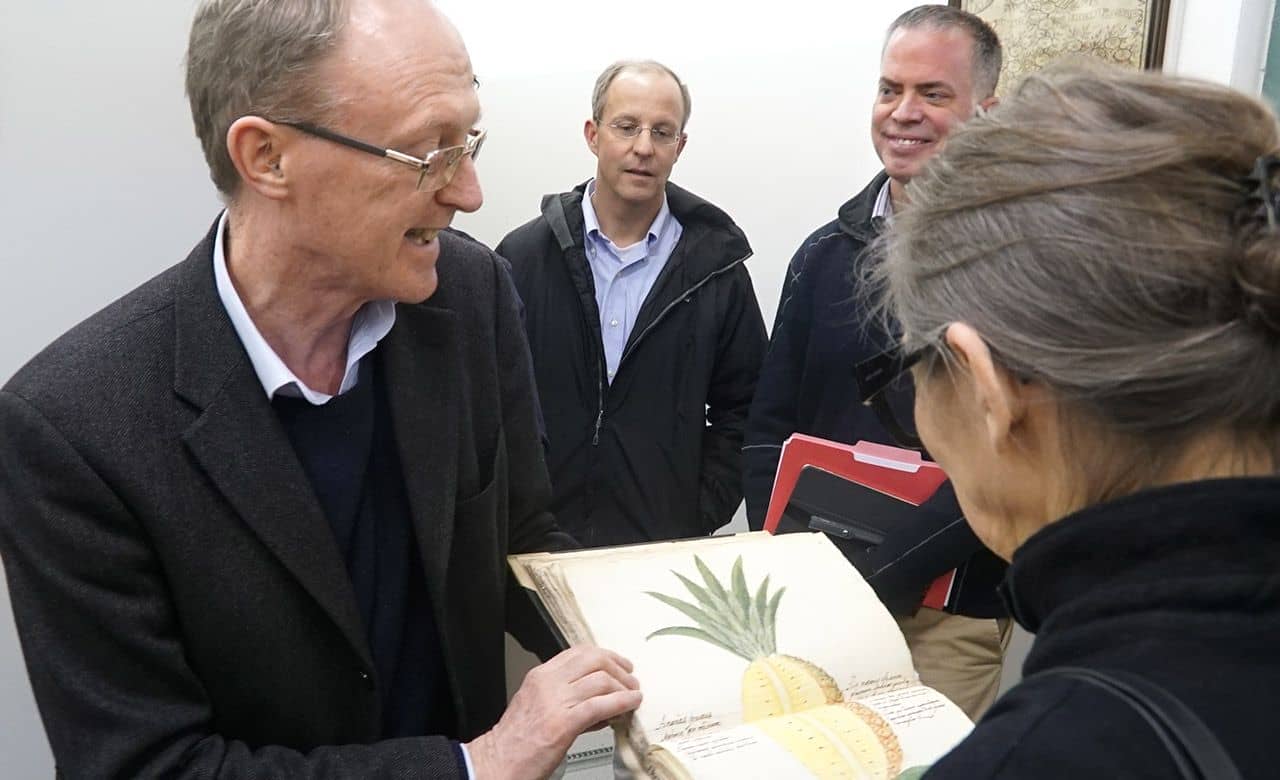 Los archivos y los archiveros están activos y en forma