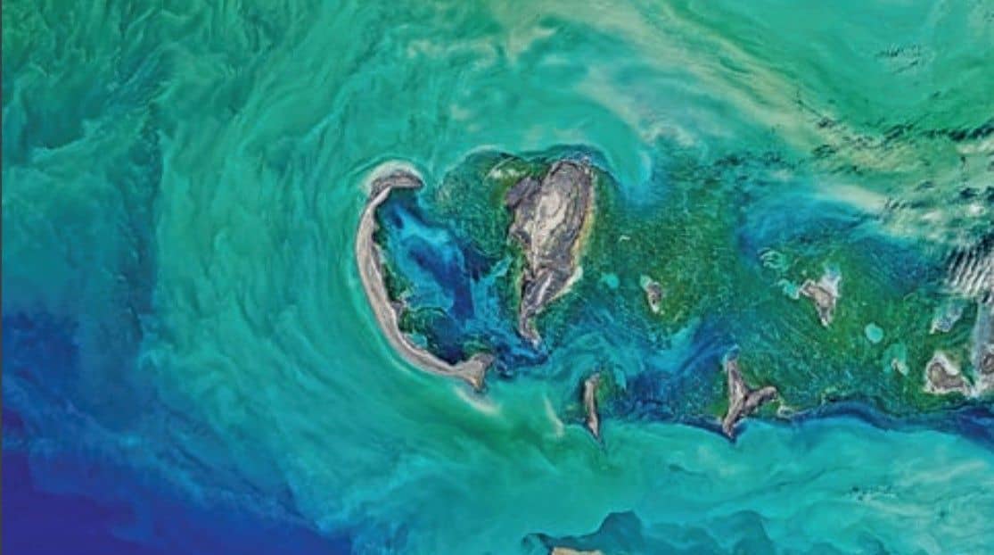 Fortaleciendo el compromiso académico con la justicia social y medioambiental (Primera parte)