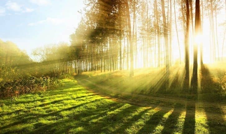 Día Mundial del Medio Ambiente: “Reducir la contaminación del aire”