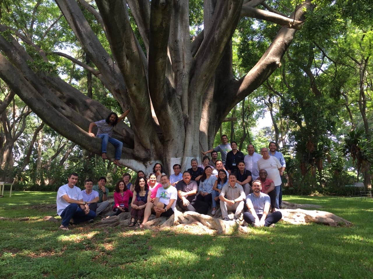 Carta Panamazónica SJPAM - Junio 2019