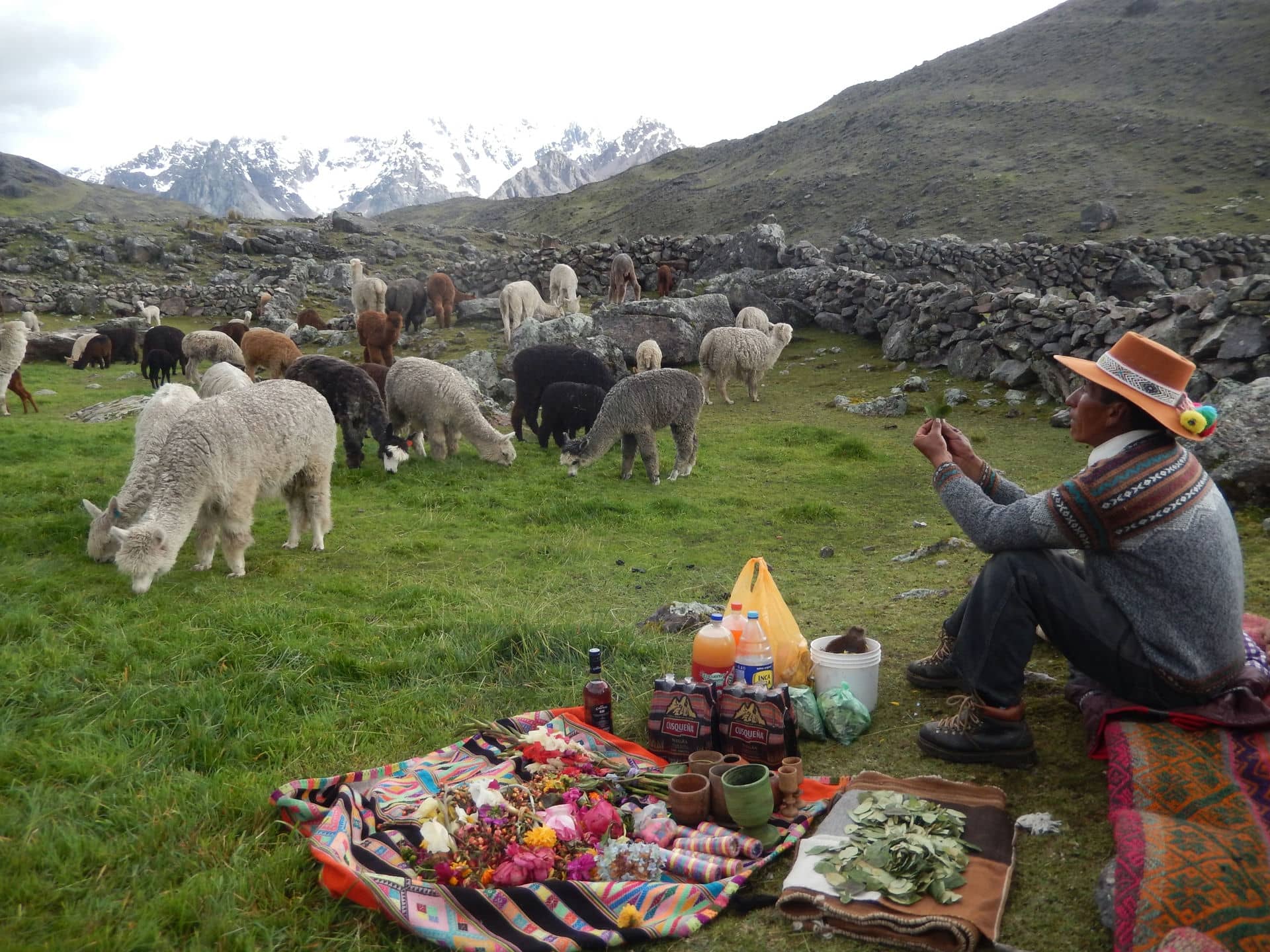 El cambio climático afecta desde lo que comemos hasta lo que creemos