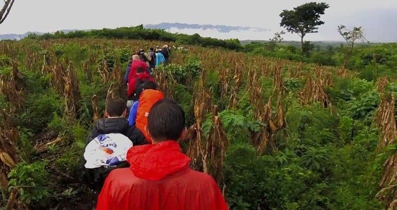 Comunidades indígenas denuncian ataques al proceso de libre determinación (Comunicados)