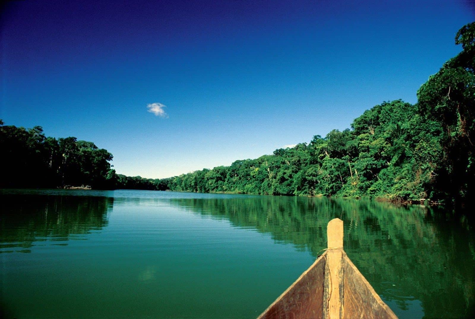 Día 13 - 40 días por el río: Ecología Integral para recuperar la vida