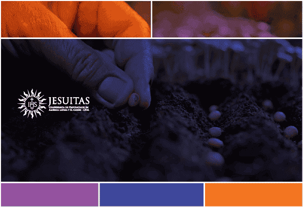 Los apóstoles pidieron al Señor: Danos más fe (Lucas 17, 5-10)