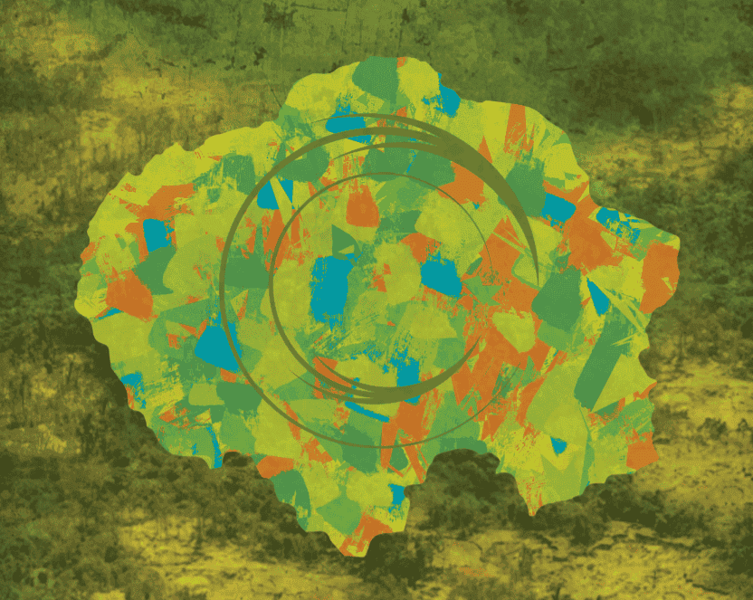 CIDH presenta el informe sobre “Situación de los Derechos Humanos de los Pueblos Indígenas y Tribales de la Panamazonía”