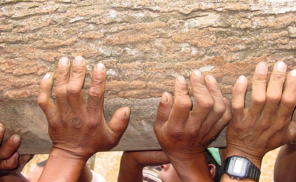 Red Claver: Colores del trabajo en red