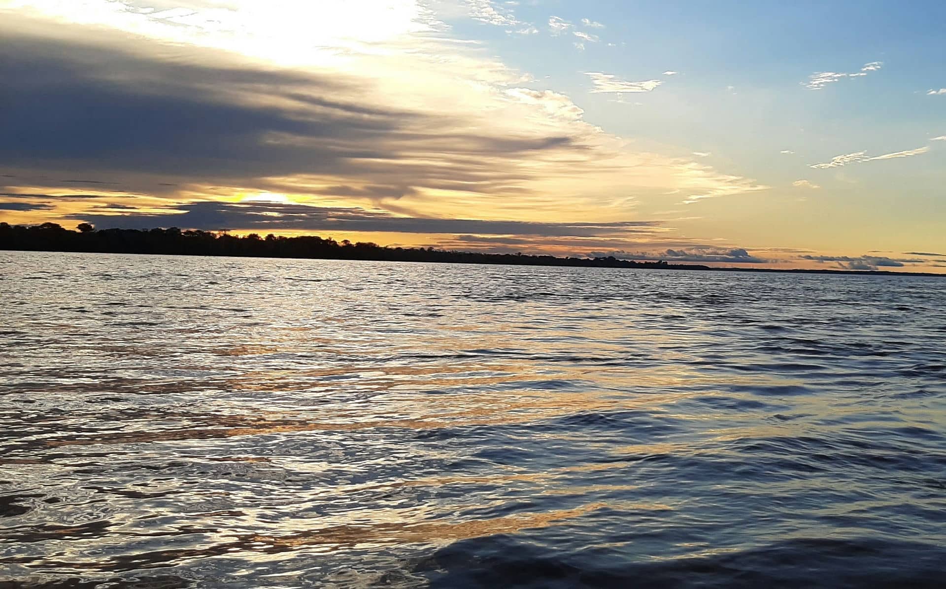 Breve experiencia de Sara en el SJPAM