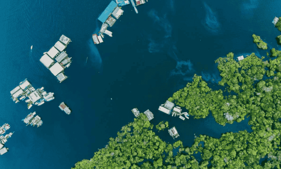 La movilidad humana y las migraciones en el sínodo para la Amazonía. Por: Mauricio García Durán, S.J.