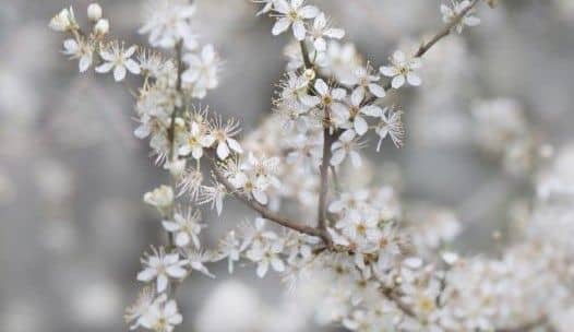 ¿Hablar de Dios… o callar de Dios?