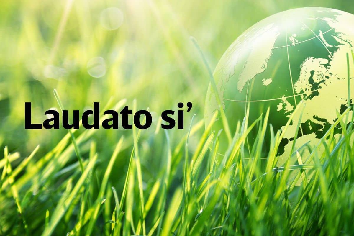 La Semana Laudato Si' anima a los fieles a construir juntos un mundo mejor