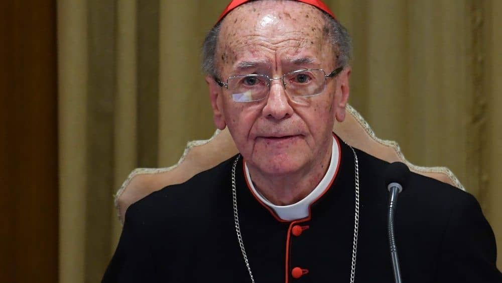 Nace la Conferencia Eclesial de la Amazonía