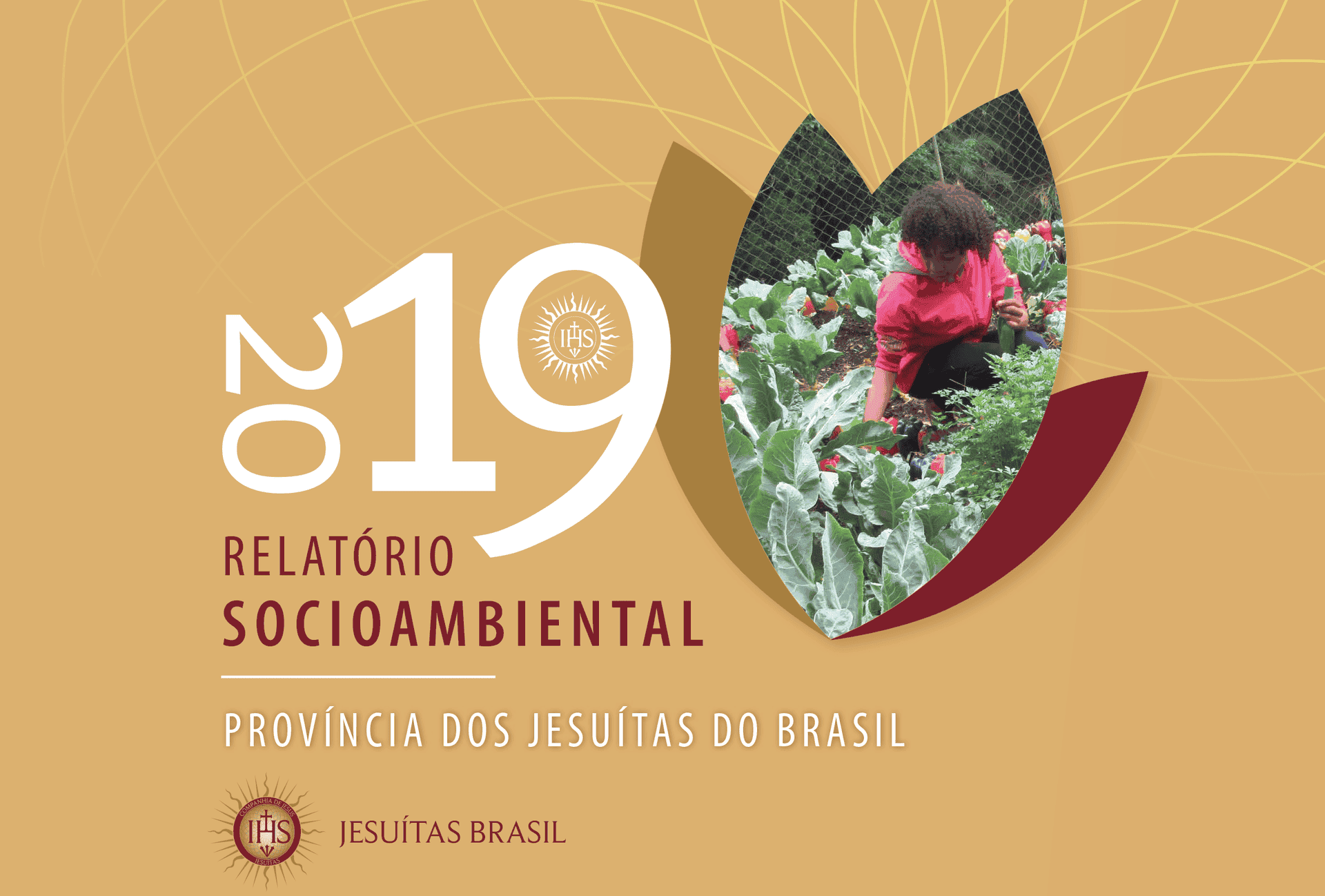 Informe Socio ambiental de la Provincia de Brasil para el año 2019