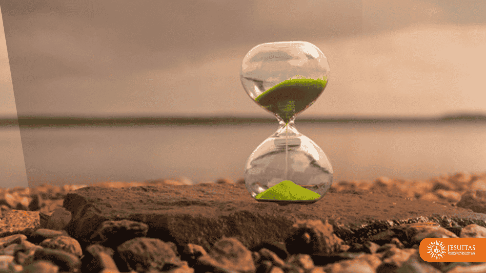 ¿Qué creen ustedes que hará con esos labradores? Mateo 21, 33-43