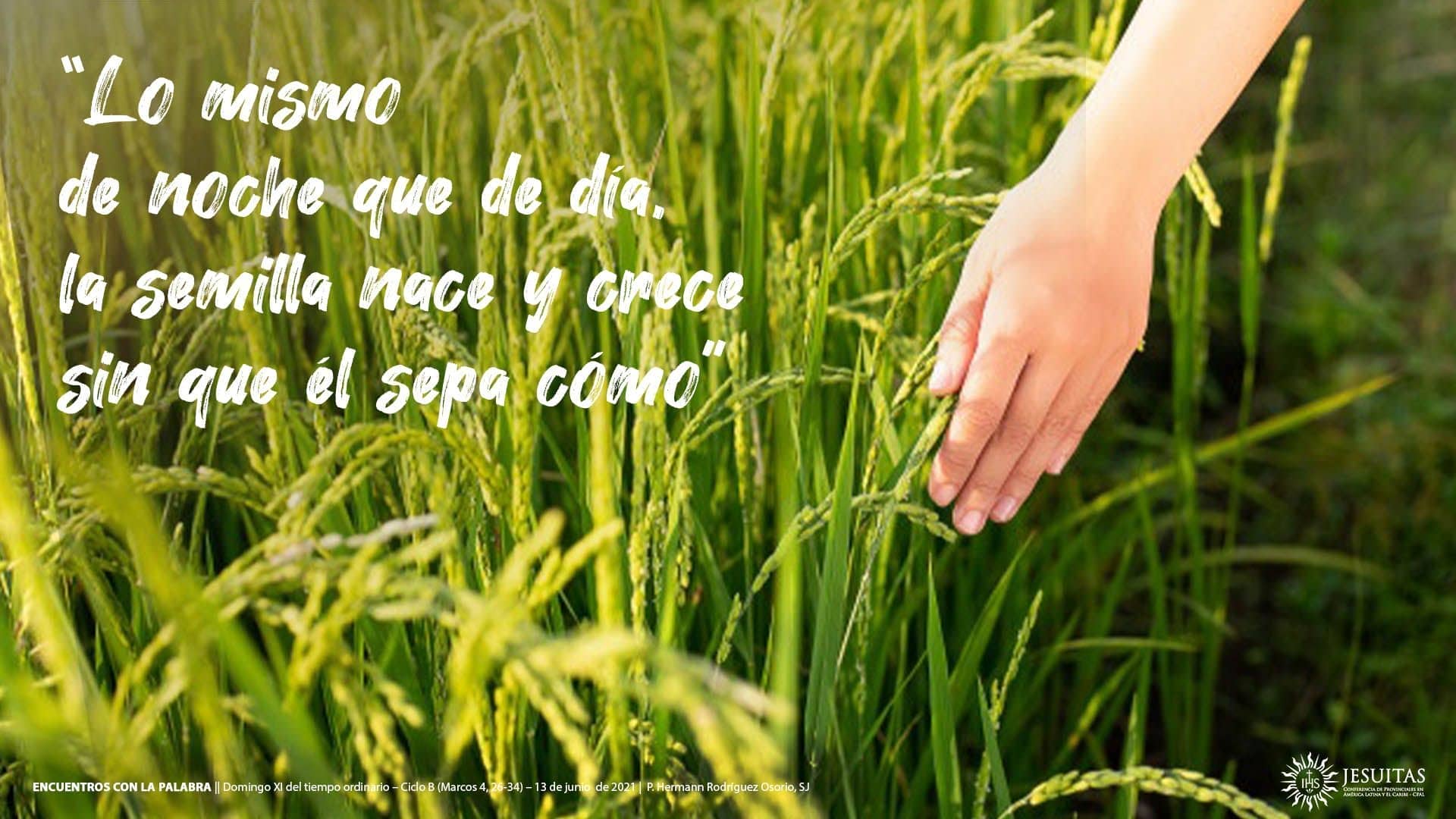 Homilía del Domingo 13 de junio