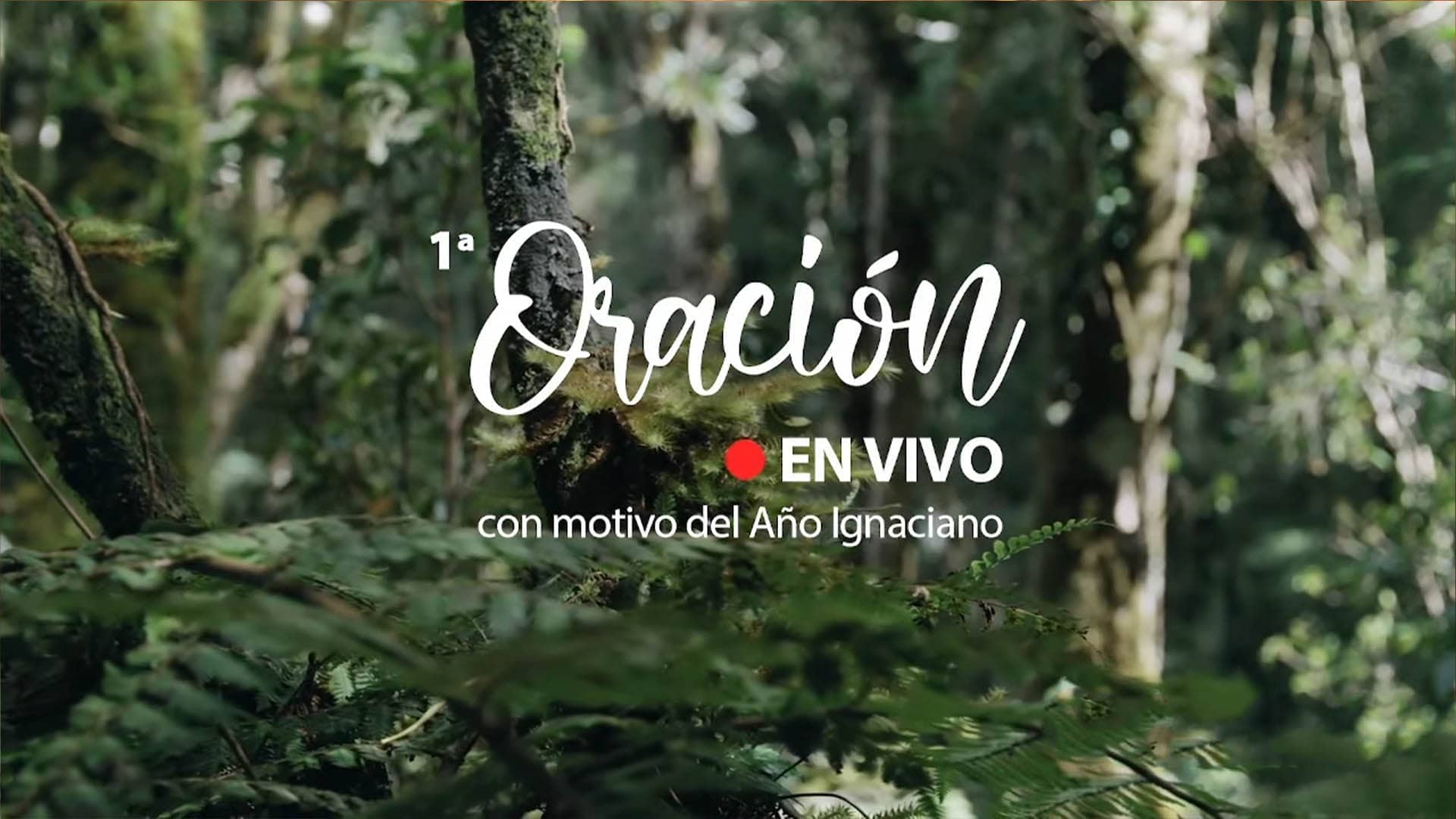 CPAL: Oración En Vivo por el Año Ignaciano