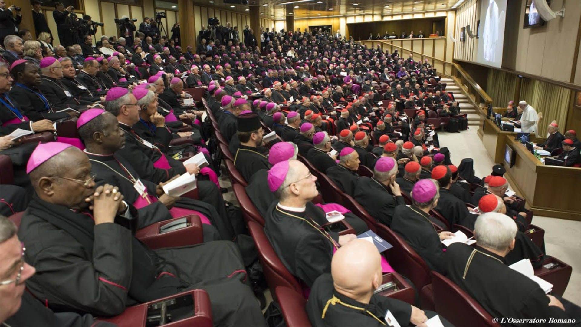 Invitación a Institutos de Vida Consagrada a participar en camino sinodal