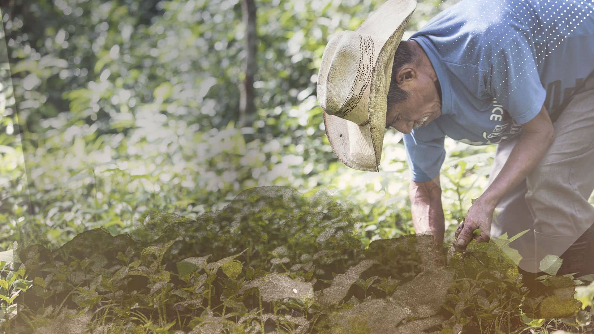 Palabra de la CPAL: Redes del Apostolado Social
