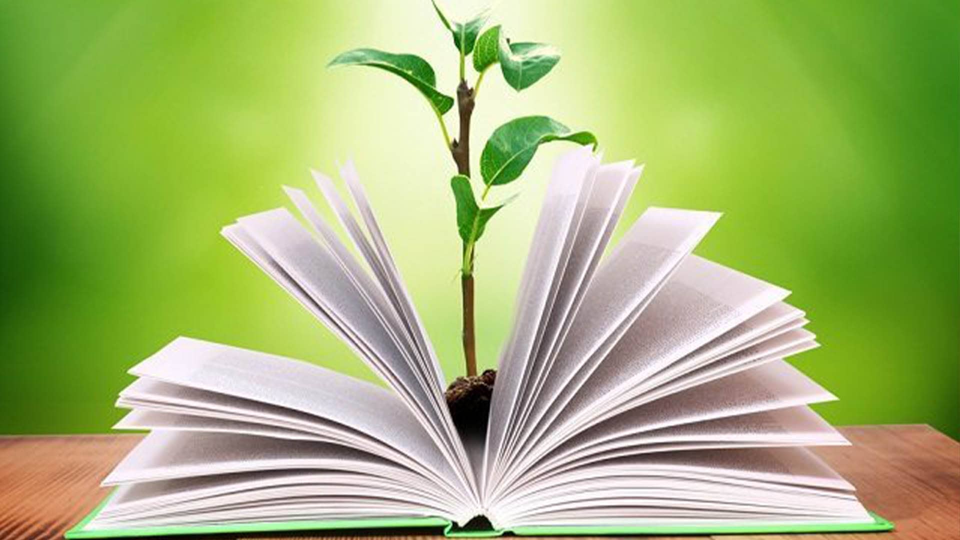 Boletín CVPI: La ECOEDUCACIÓN desde la Laudato Si'