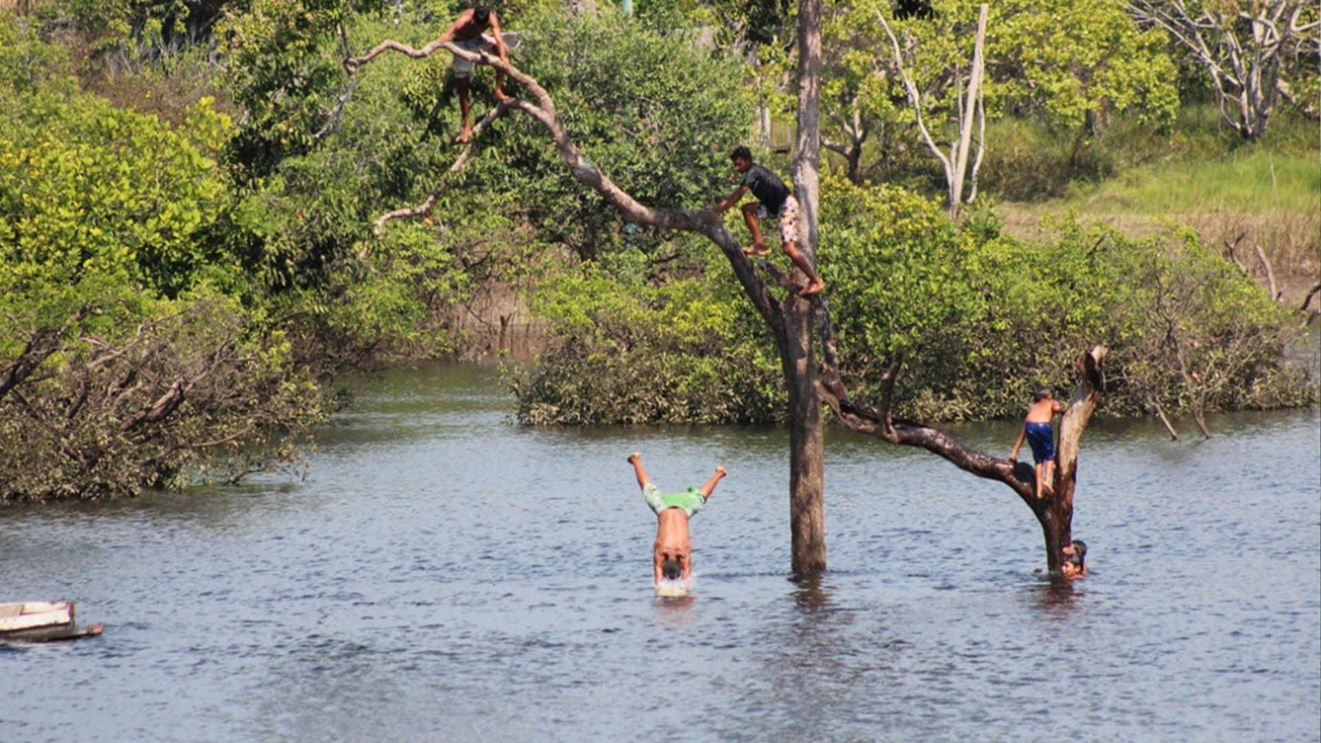 Inició en Brasil curso: Derecho al Agua y Saneamiento en la Amazonía