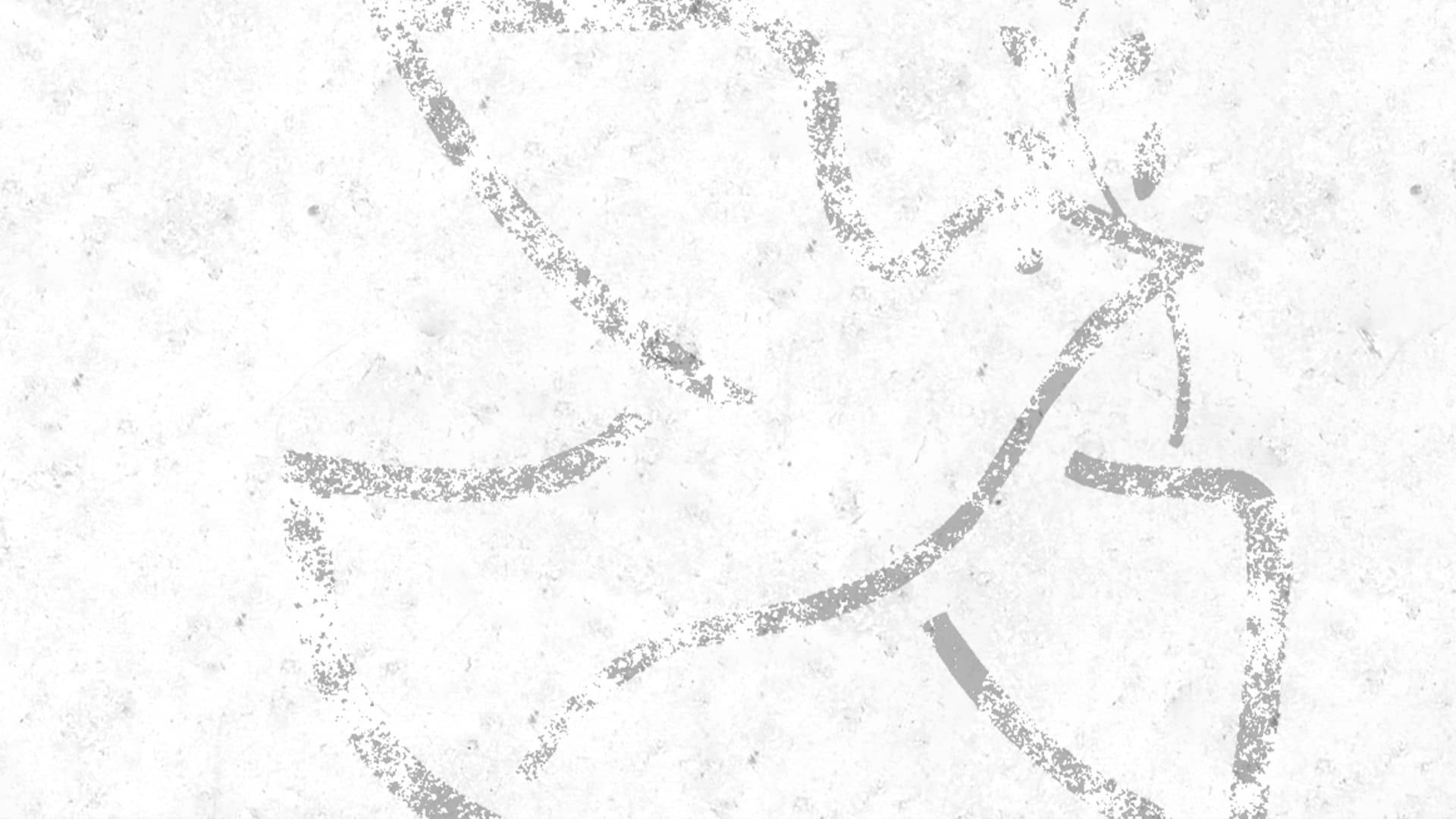 Jornada de Oración por la paz en México 🕊️