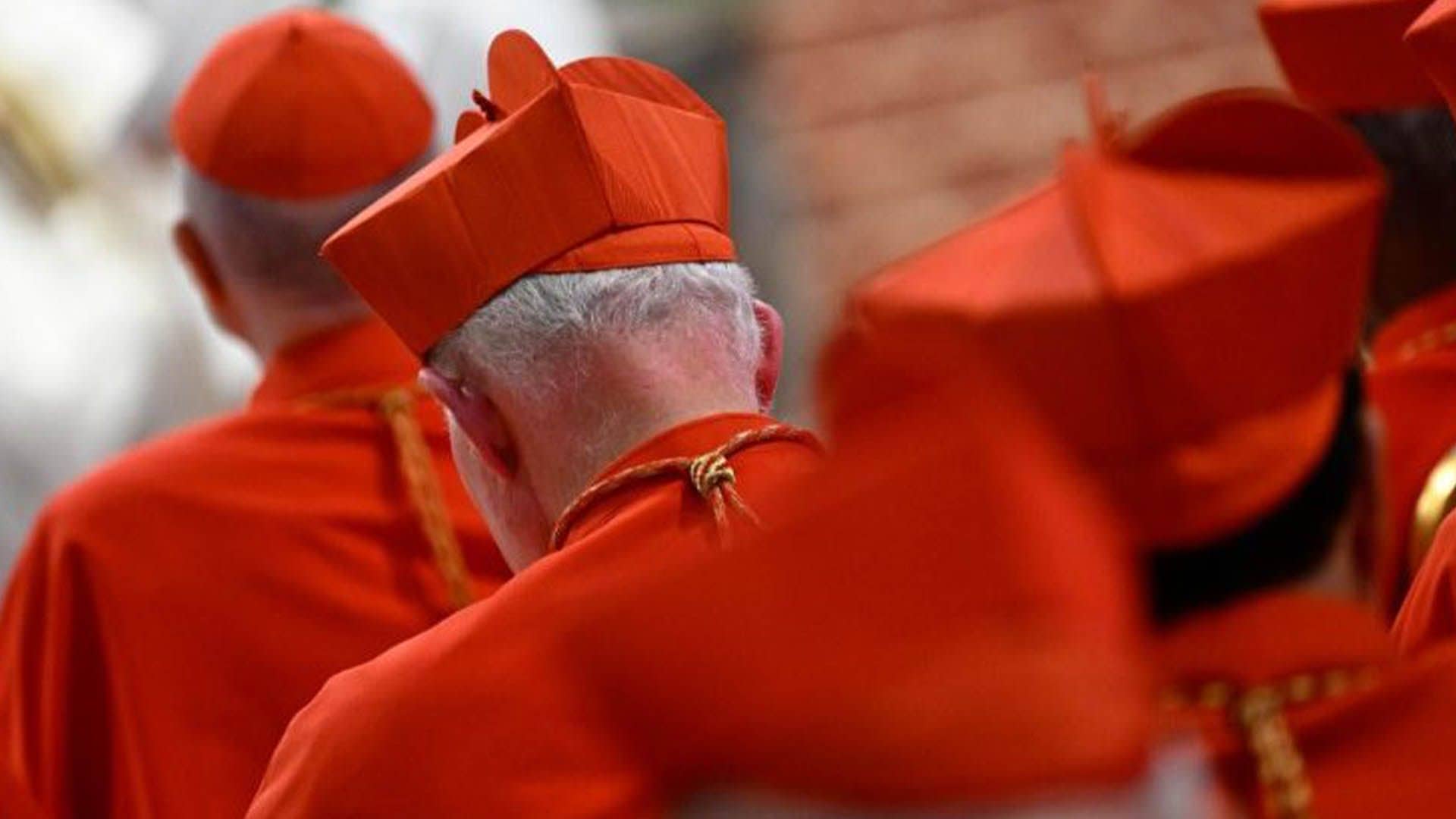 Cardenales se reúnen con el Papa por reforma de la Curia