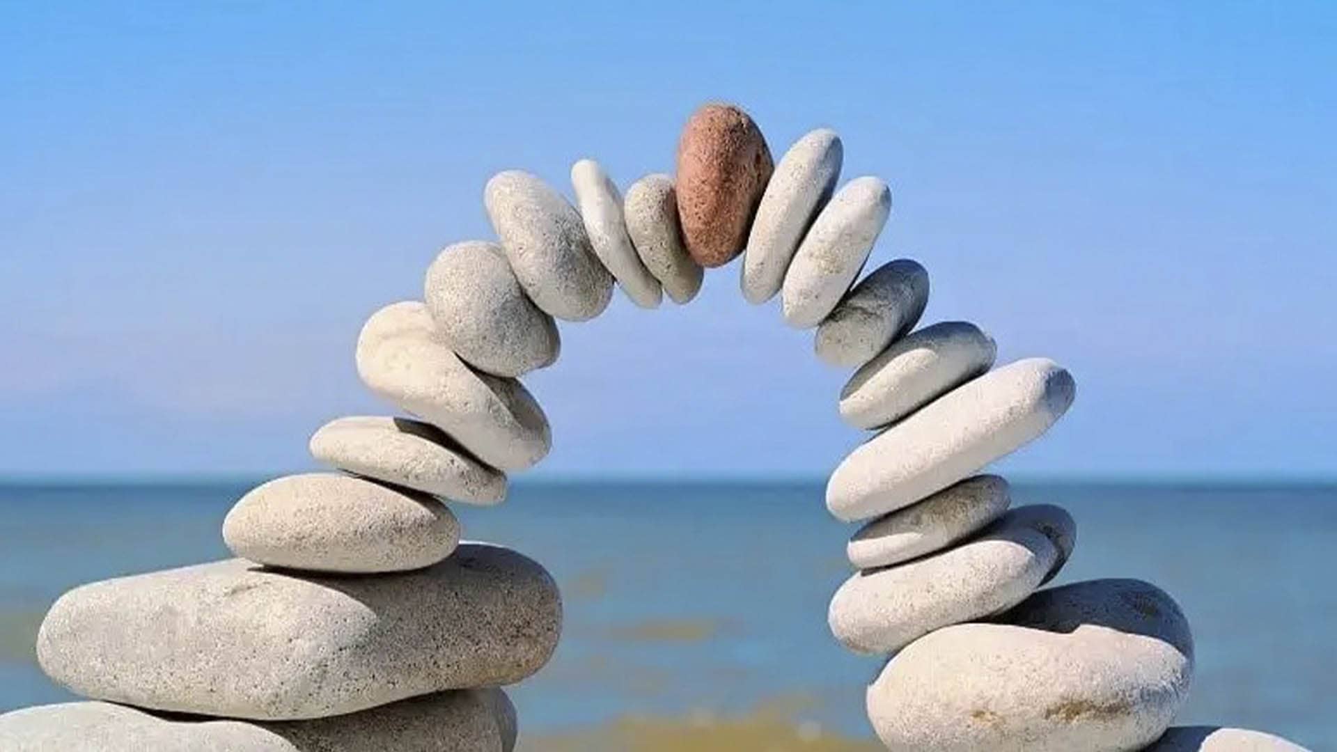 Boletín CVPI: La formación de nuestros educadores