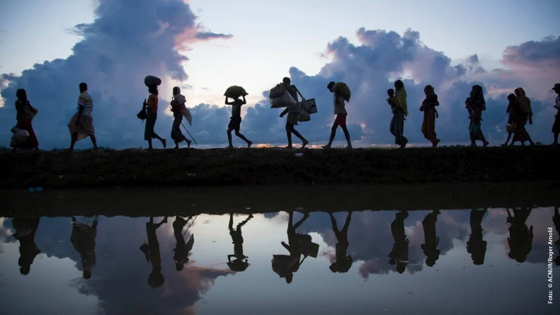 Accesible Directorio de investigación sobre Migración