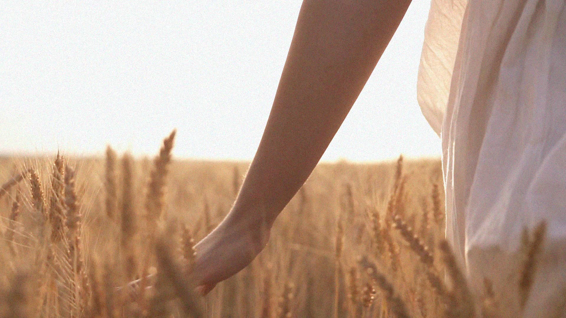 Homilía del Domingo 28 de mayo de 2023