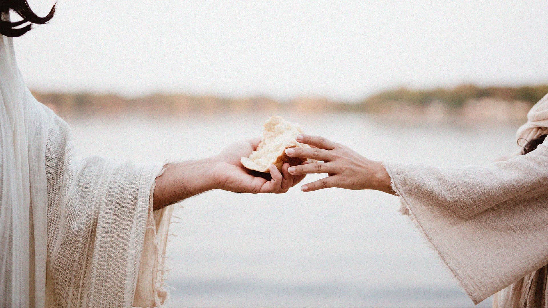 Homilía del Domingo 4 de junio del 2023 