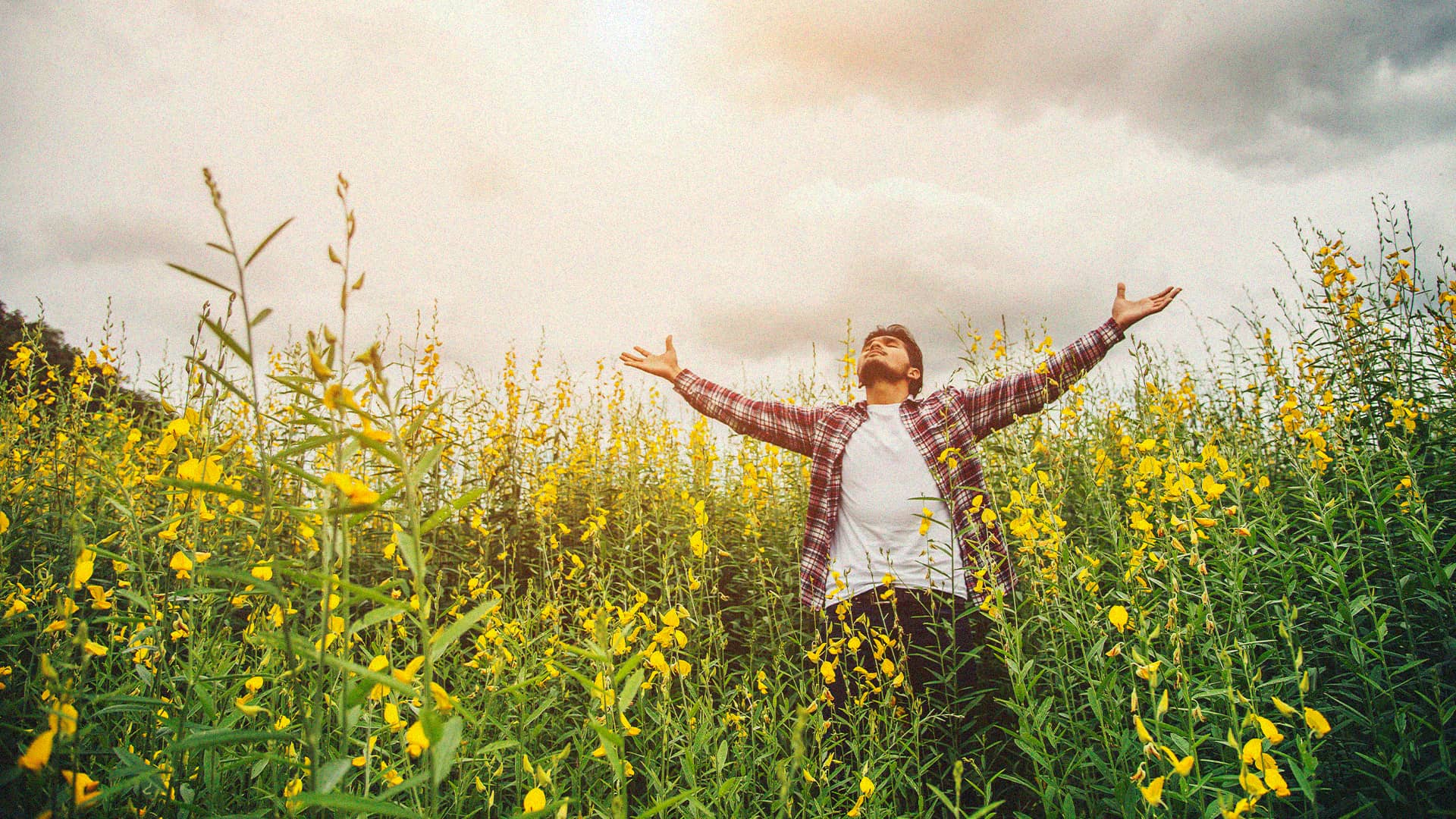 Homilía del Domingo 16 de julio del 2023