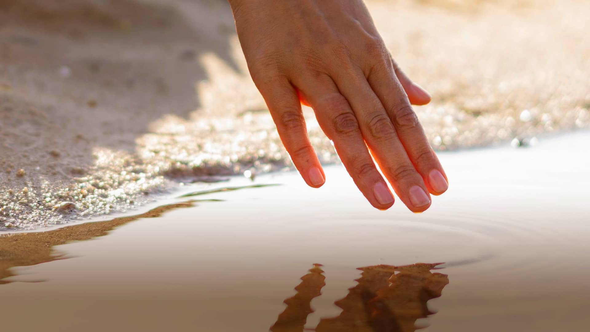 Homilía del Domingo 13 de agosto del 2023