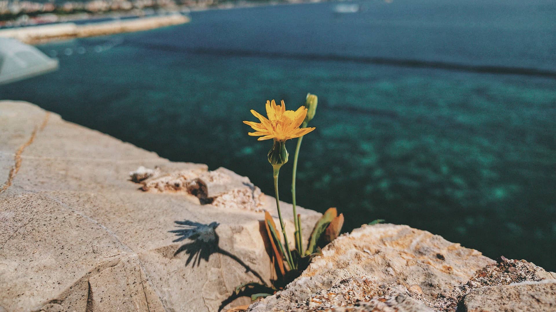 Homilía del Domingo 10 de septiembre del 2023