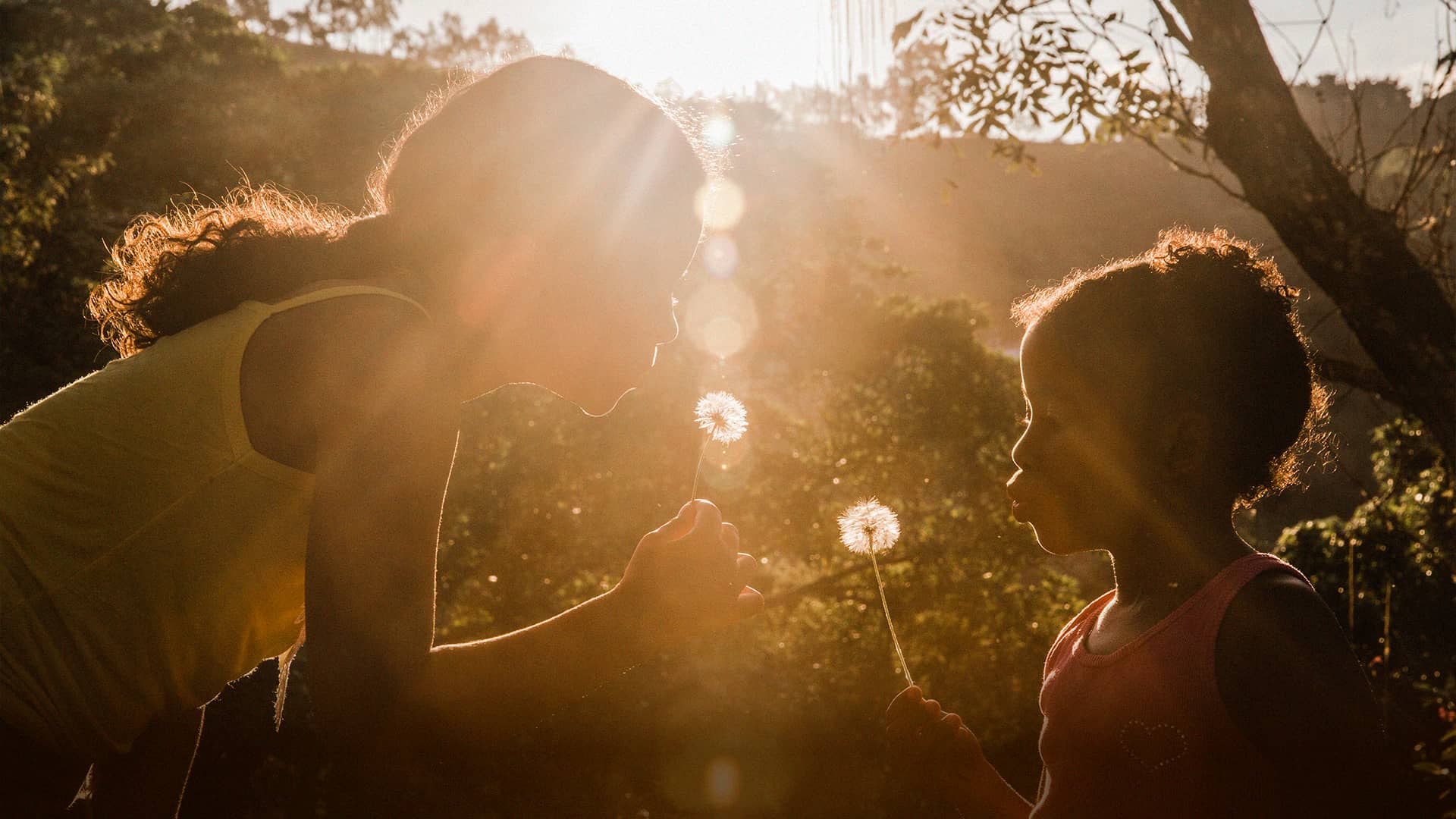 Homilía del Domingo 15 de octubre del 2023