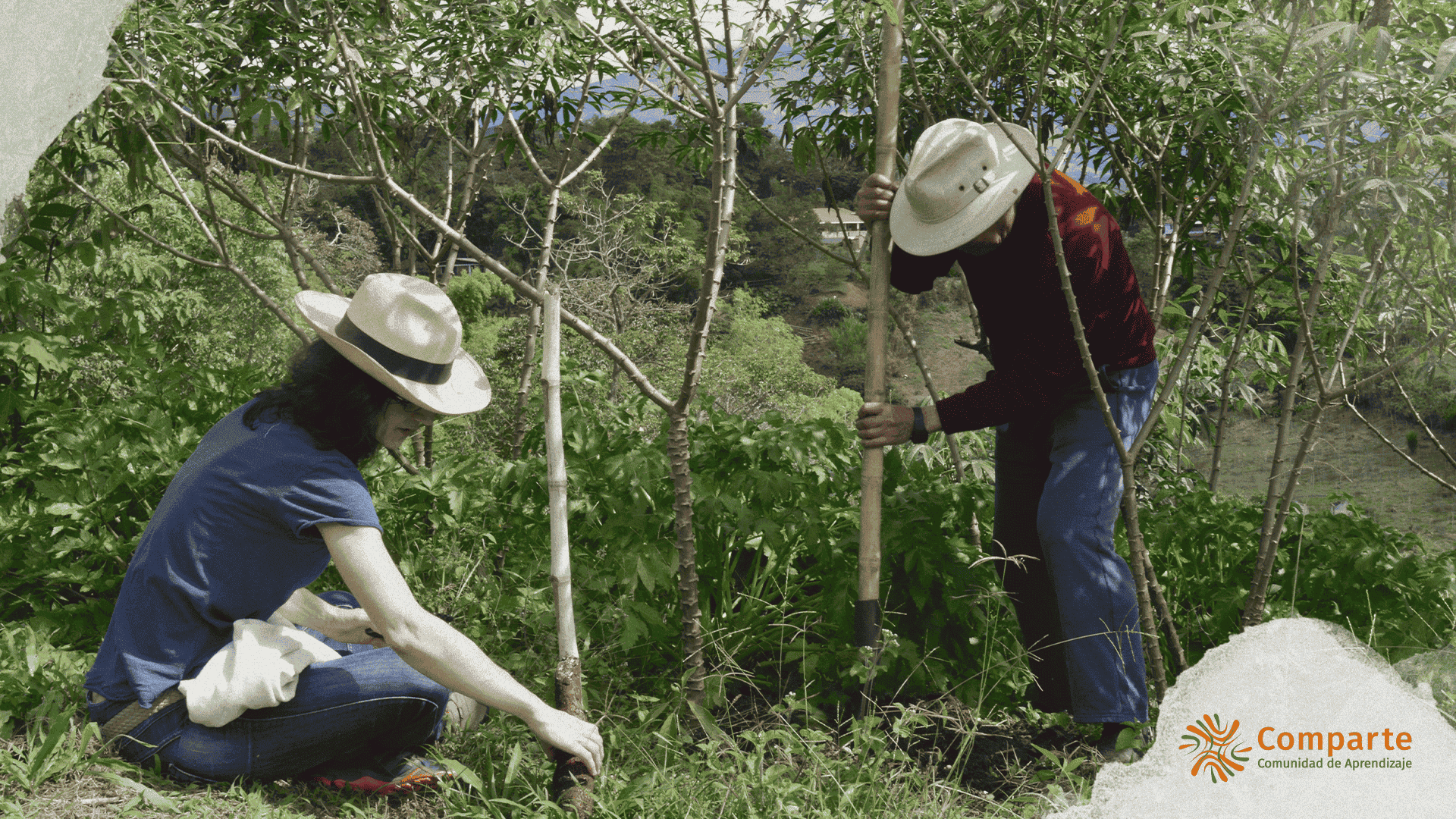 Primera Asamblea virtual 2023 de la Red Comparte