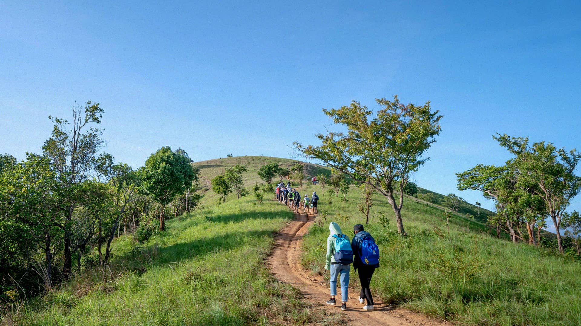 Homilía del Domingo 25 de febrero del 2024