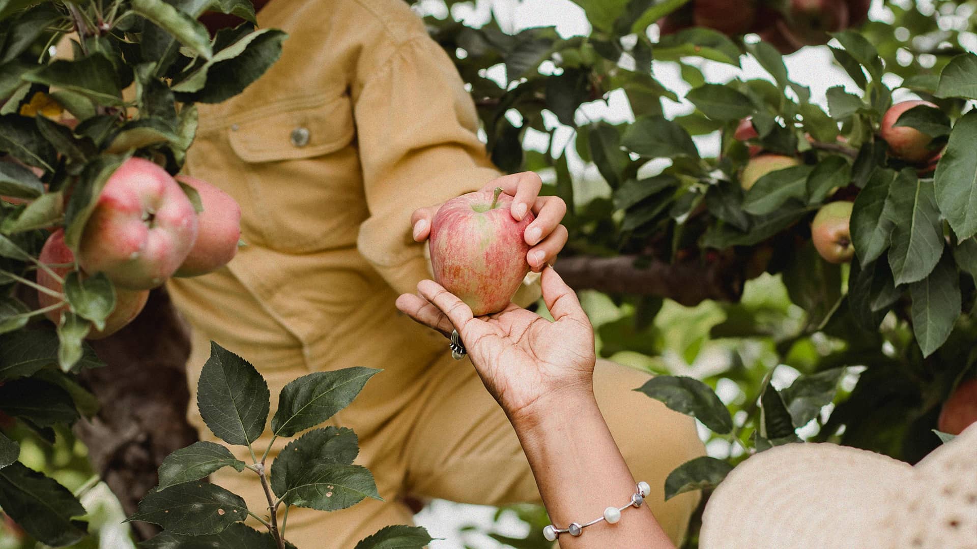 Homilía del Domingo 17 de marzo del 2024