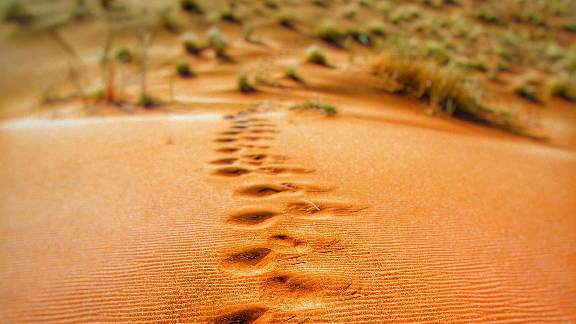 Homilía del Domingo 3 de marzo del 2024