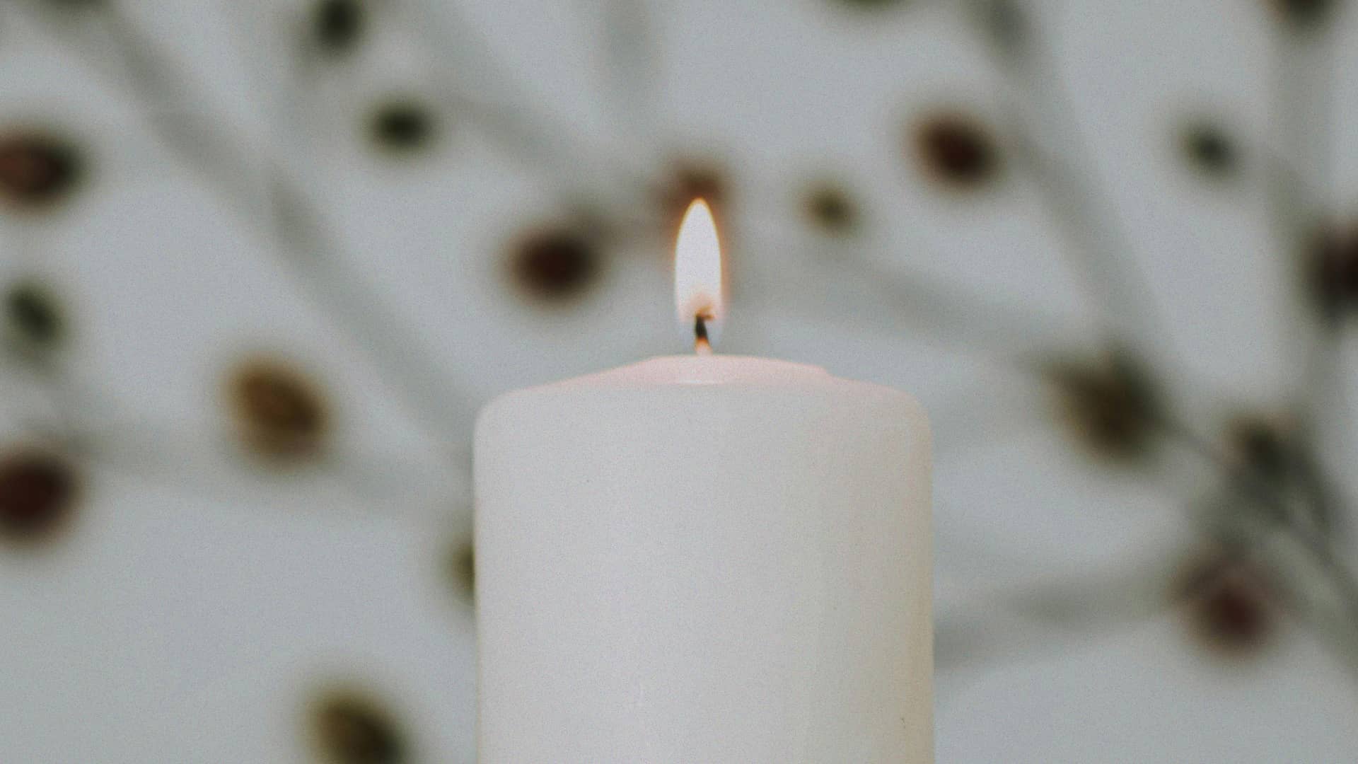 Homilía del Domingo 7 de abril del 2024